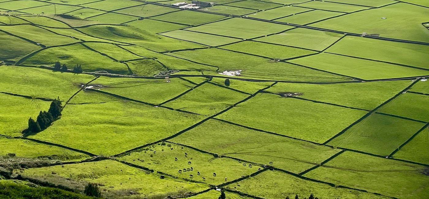 Image: Patchwork pastures on the Azorean island Terceira. (Photo Credit: Bruce Parkinson)