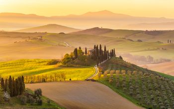 A Tuscan vineyard at sunrise
