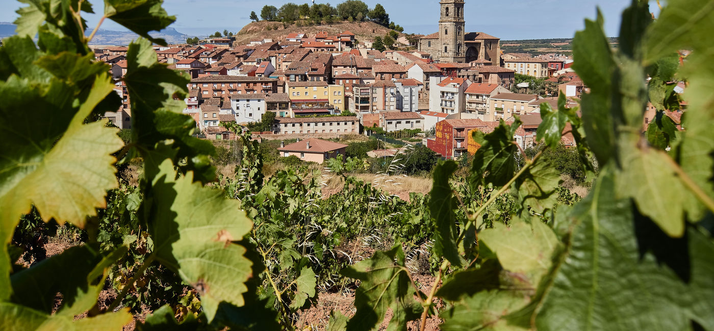 Image: Des endroits comme le village de Navarrete paient le prix de leur charme (Photo Credit: Adobe Stock/Evan Frank)