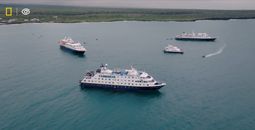 A Special Celebration in Galápagos with National Geographic-Lindblad Expeditions