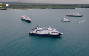 A Special Celebration in Galpagos with National Geographic-Lindblad Expeditions