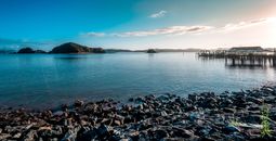 Sunrise in New Zealand Paihia Beach