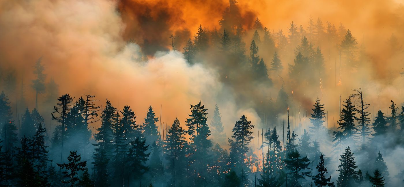 Image: Wildfire in British Columbia (Photo Credit: The Little Hut/Adobe Stock)