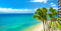 Dive into Savings with a 4th night free at select Aqua-Aston hotels and resorts