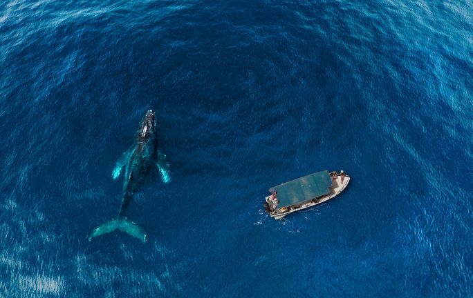 Los Cabos Tourism Executive Details New and Noteworthy Destination Developments Los Cabos Tourism Executive Details New and Noteworthy Destination Developments
