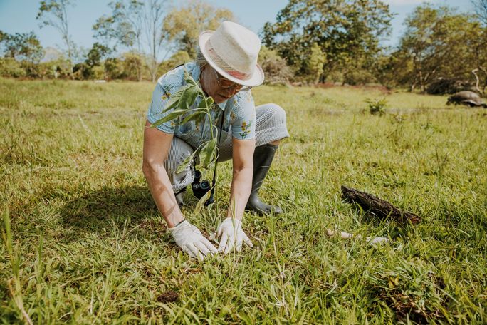 ecoventura, conservation, reforestation, santa cruz island, galapagos