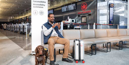 Cabin-Ready Canines