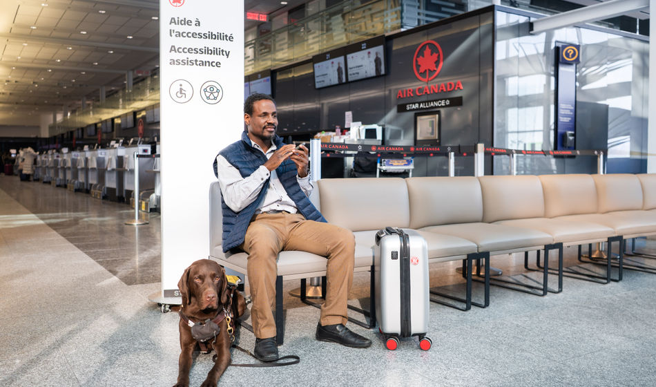 Cabin-Ready Canines