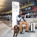Cabin-Ready Canines
