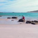 Baja Mexico, UnCruise Adventures, Mexico cruises