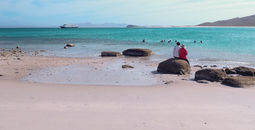 Baja Mexico, UnCruise Adventures, Mexico cruises