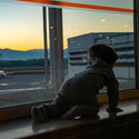 Baby at airport, plane, child, toddler, infant