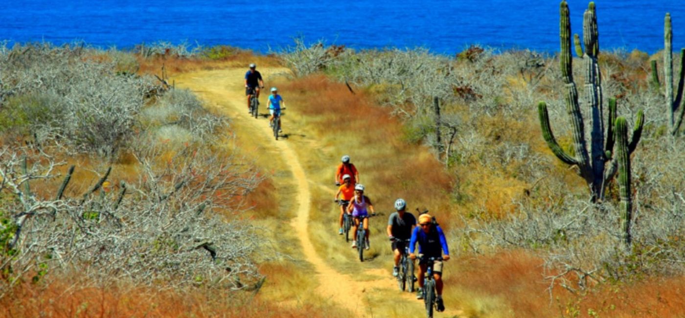 Image: (Courtesy of Los Cabos Tourism)