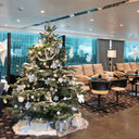 Scenic Group announced its 2026-27 festival holiday sailings