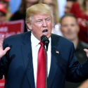President Donald Trump