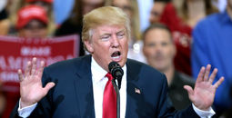 President Donald Trump