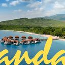 The Great Jamaica Comeback Sale