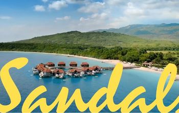 The Great Jamaica Comeback Sale