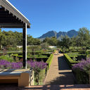 Mountain view from Vergelegen Wine Estate in the Somerset West area of Cape Town