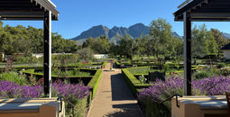 Mountain view from Vergelegen Wine Estate in the Somerset West area of Cape Town