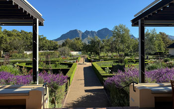 Mountain view from Vergelegen Wine Estate in the Somerset West area of Cape Town