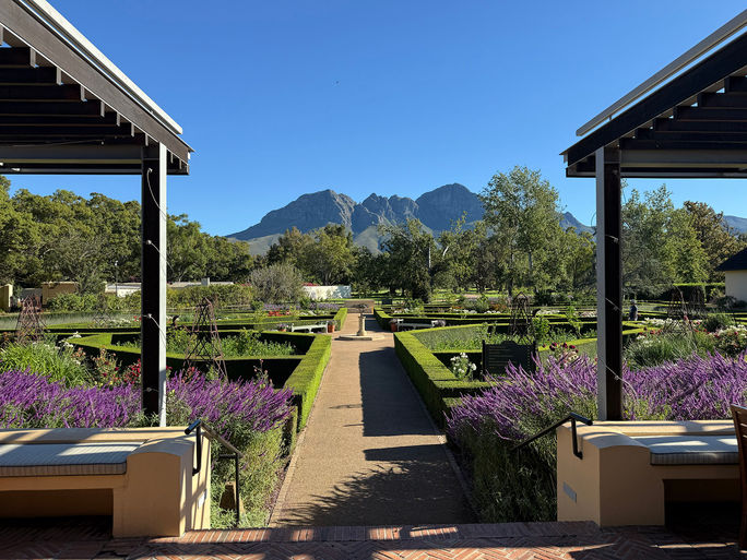 Mountain view from Vergelegen Wine Estate in the Somerset West area of Cape Town