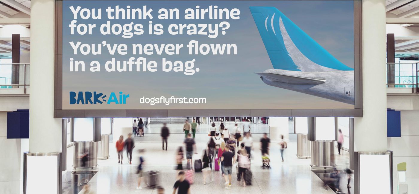 Image: BARK Air has been designed to give dogs a first-class flying experience. (Photo Credit: Courtesy BARK Air)