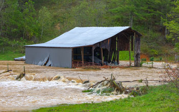 Barn flooded by Hurricane Helene