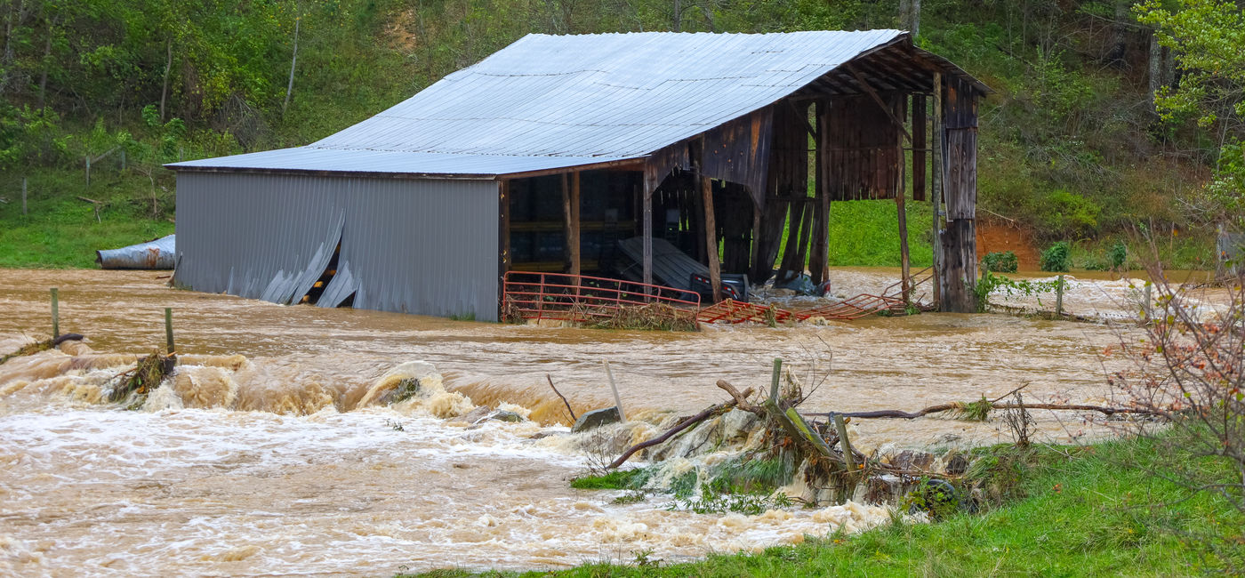 Image: A barn flooded by Hurricane Helene (Photo Credit: Courtesy AdobeStock)