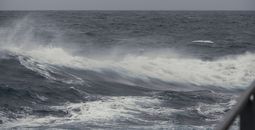 Travel Chaos as Cyclone Alfred Slams Australia