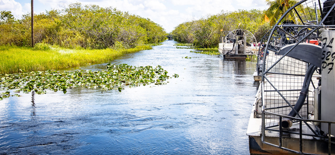 Image: Everglades Park National Park (Photo Credit: DANLIN Media GmbH/Adobe Stock)