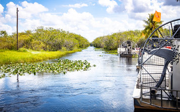 Everglades Park National Park