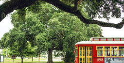 Streetcar in New Orleans