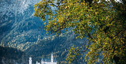 Neuschwanstein Castle, Bavaria