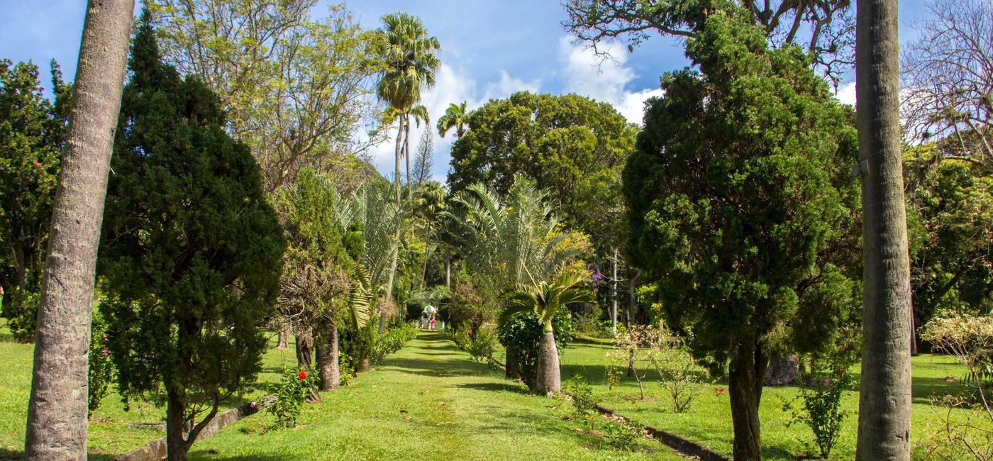 Image: St. Vincent’s Botanical Gardens are part of Island Routes’ excursion program. (Photo courtesy of Island Routes).
