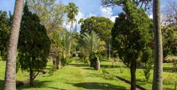 St. Vincent Botanical Garden