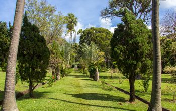 St. Vincent Botanical Garden