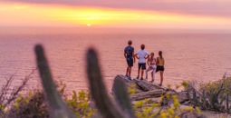 Los Cabos Goes Live With New Interactive Website