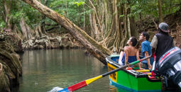 Dominica Indian River
