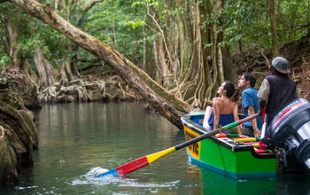 Dominica Indian River