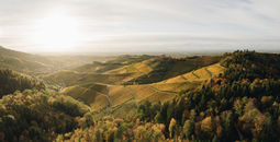 Shwarzwald National Park