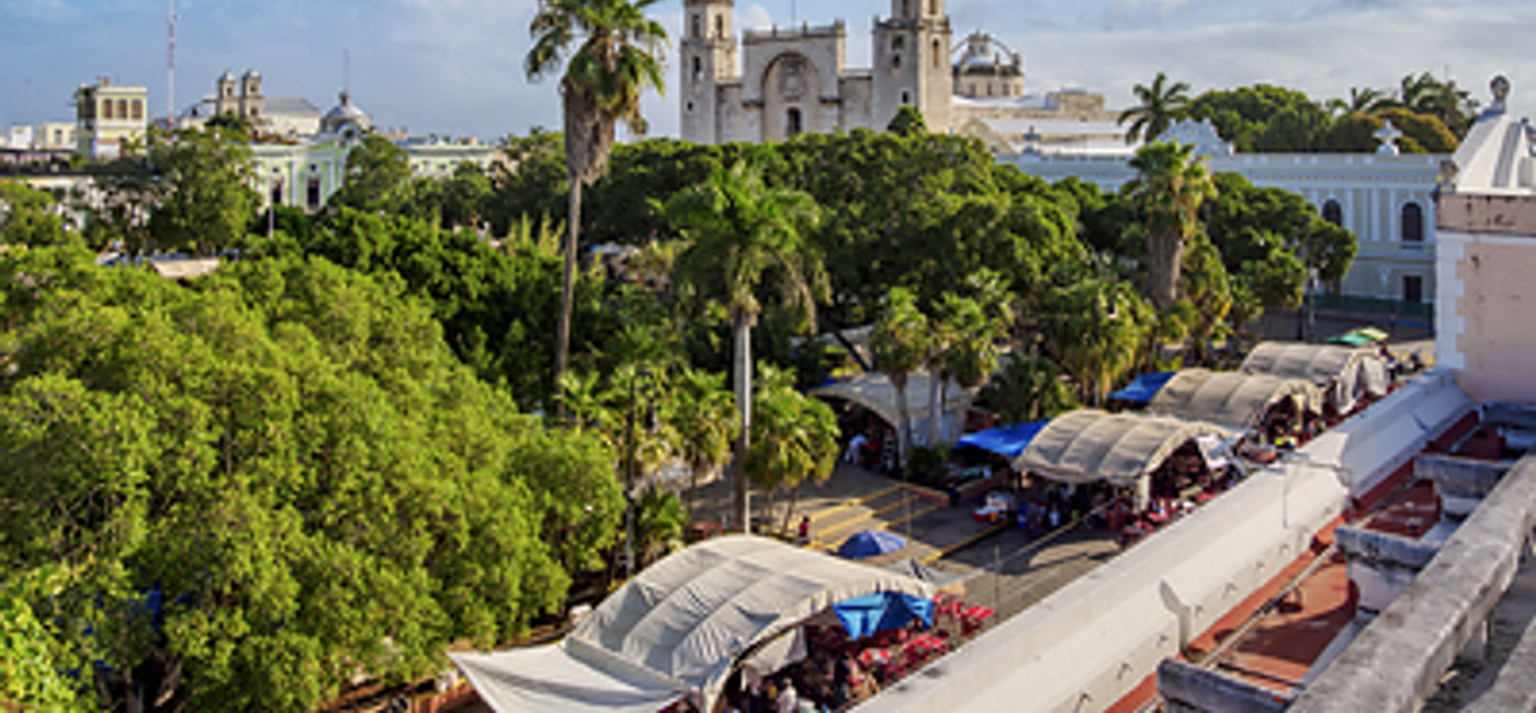 Image:  (Photo Credit: WestJet)