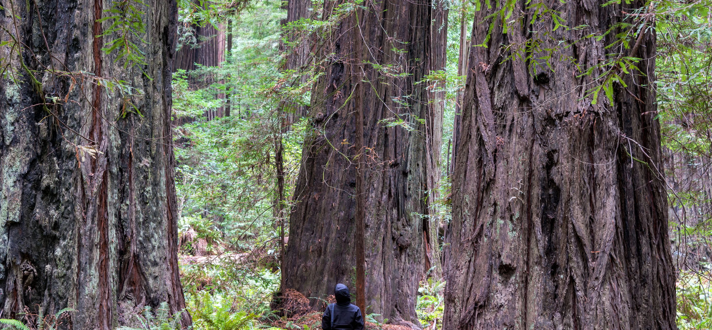 America's 10 Best State Parks for Budget Vacations