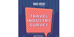 Travel Industry Survey 2024