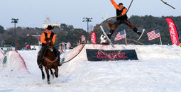 Skijoring, horses, winter