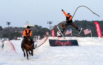 Skijoring, horses, winter