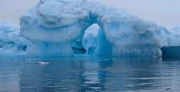 Icebergs form beautiful shapes off the coast of East Greenland