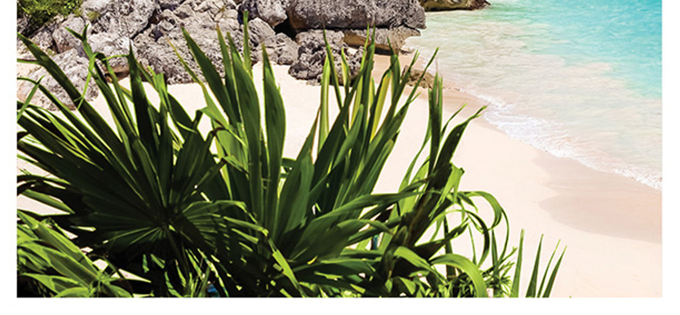 Image: Mexico Brochure