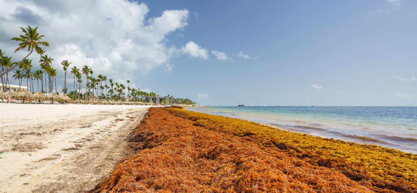 Image: L'industrie touristique de Quintana Roo a salué le nouveau plan (Photo Credit: Adobe Stock/sborisov)