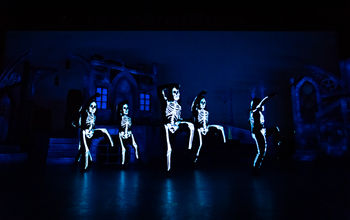 SeaWorld Howl-O-Scream.